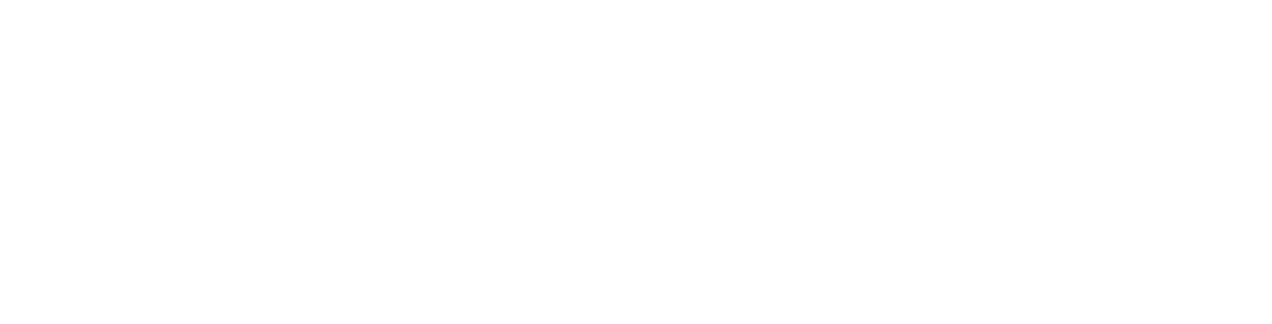 SCALE Lead